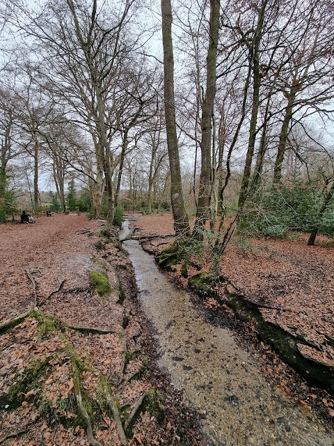 Decoy Country Park