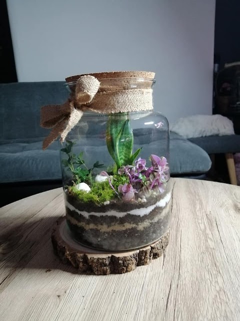 My Eco Plants