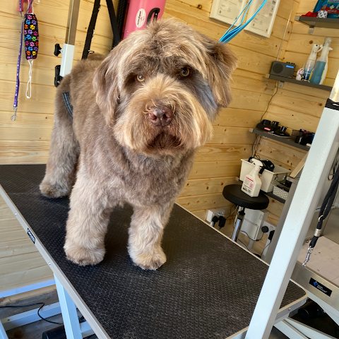 The Laundromutt Professional Dog Grooming