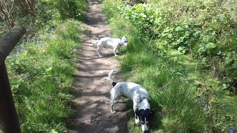 Coppice Boarding Kennels & Cattery