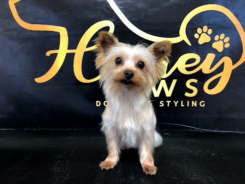 Honey Paws Dog Spa and Styling