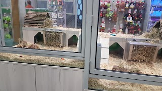 Pets at Home Paignton