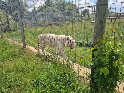 Hamerton Zoo Park