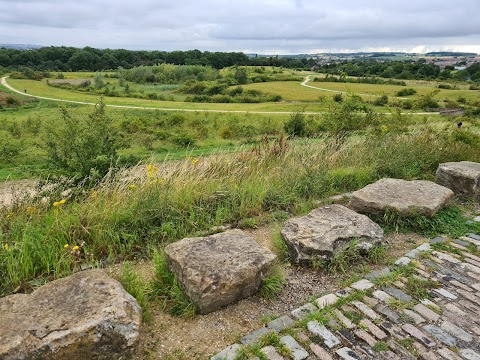 Phoenix Park