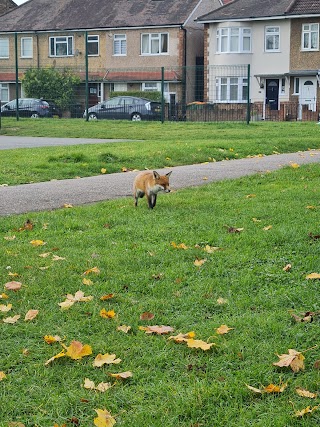 Odessa Road Open Space