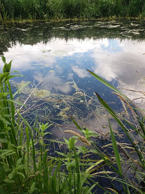 Colwick/Holme PierrePoint