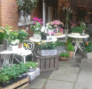 Reads Florist Oxshott