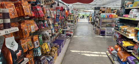 The Pet Store