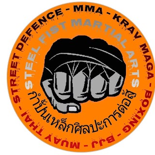 Steel Fist Martial Arts