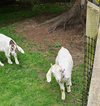 Wythenshawe Community Farm