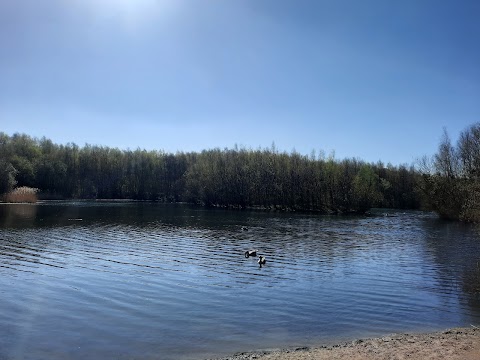 Walton Colliery Nature Park