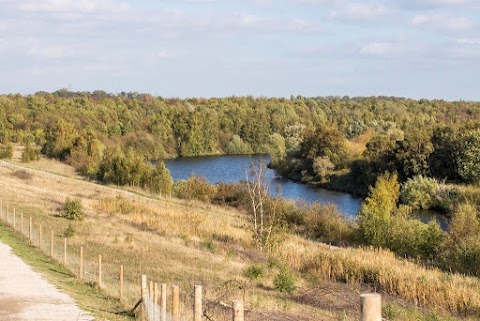 RSPB Fairburn Ings