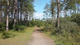 Pembrey Country Park