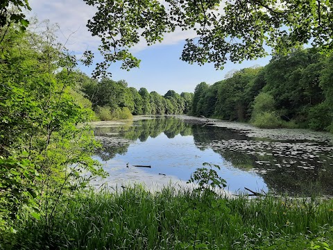 Colwick Country Park