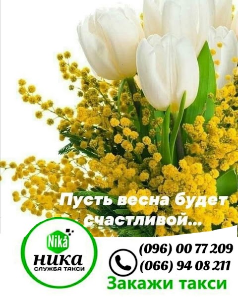 Такси Ника Новомосковск