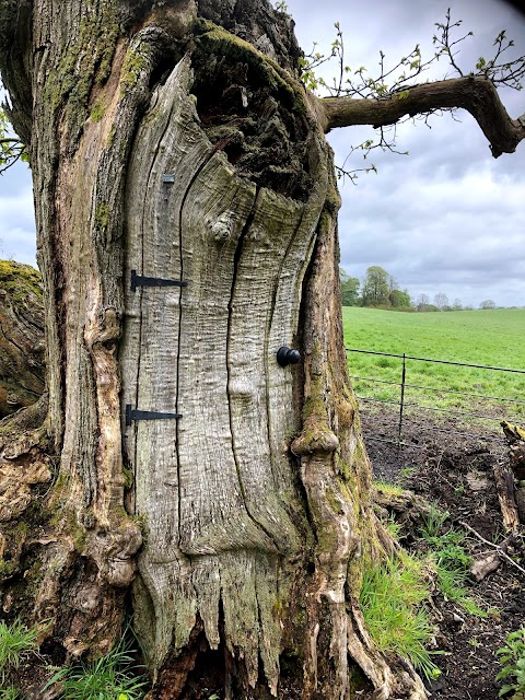 National Trust - Dinefwr