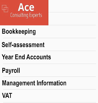 Ace Consulting Experts