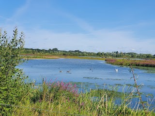 RSPB Middleton Lakes