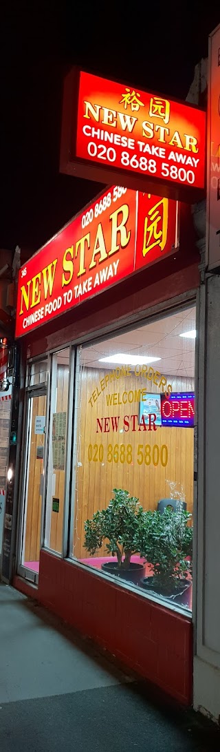 New Star Chinese Takeaway