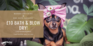 Barker Dog Grooming