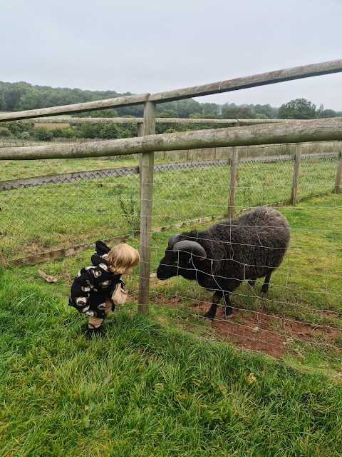 Hoar Park Children's Farm