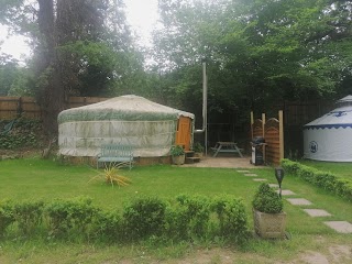 Peggy's pasture camping and glamping site