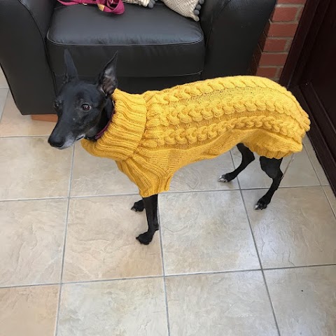 Jersey Dog Knits