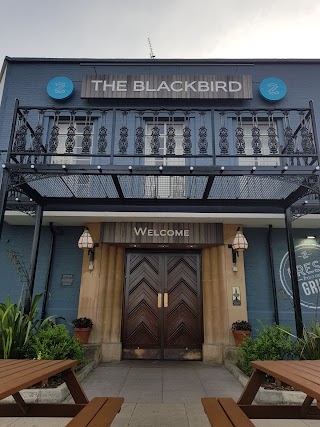 The Blackbird