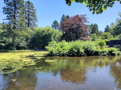 Craig-y-Nos Country Park