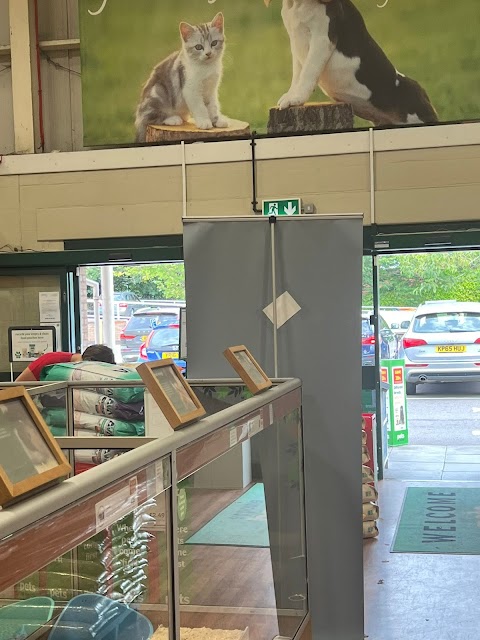 Pets at Home Farnham