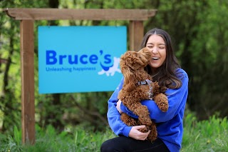 Bruce's Doggy Day Care Cobham