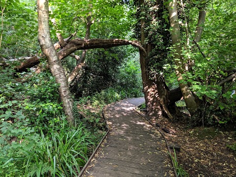 Moseley Bog