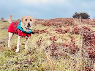 Barkers Lodge Hotel | Dog Kennels Bridgend