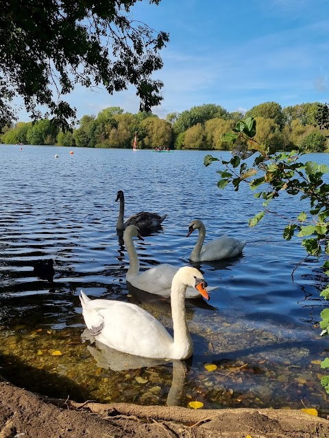 The Cafe in the Park