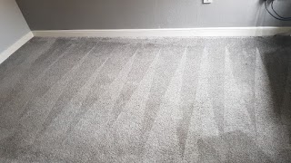 LNC carpet cleaning