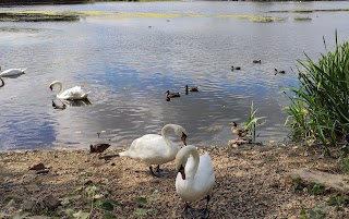 Hosehill Lake