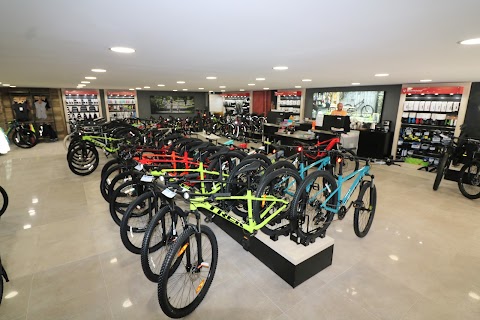 The Bike Cellar ltd