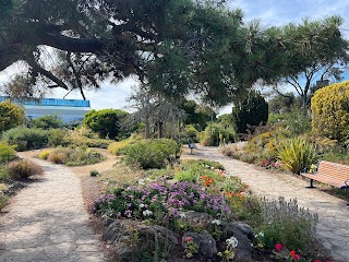 Southsea Rock Garden