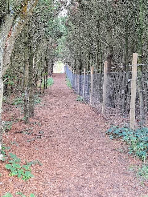 Dee Dog Park at Church Farm