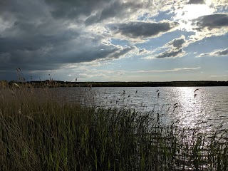 Bower's Lake