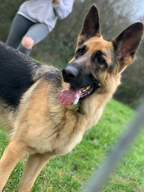 Chilworth Kennels and Cattery