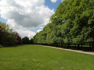 Marbury Country Park