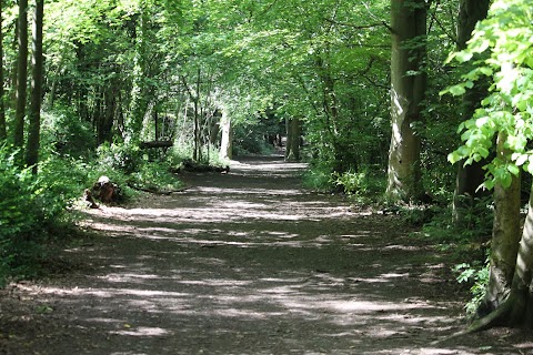 High Elms Country Park