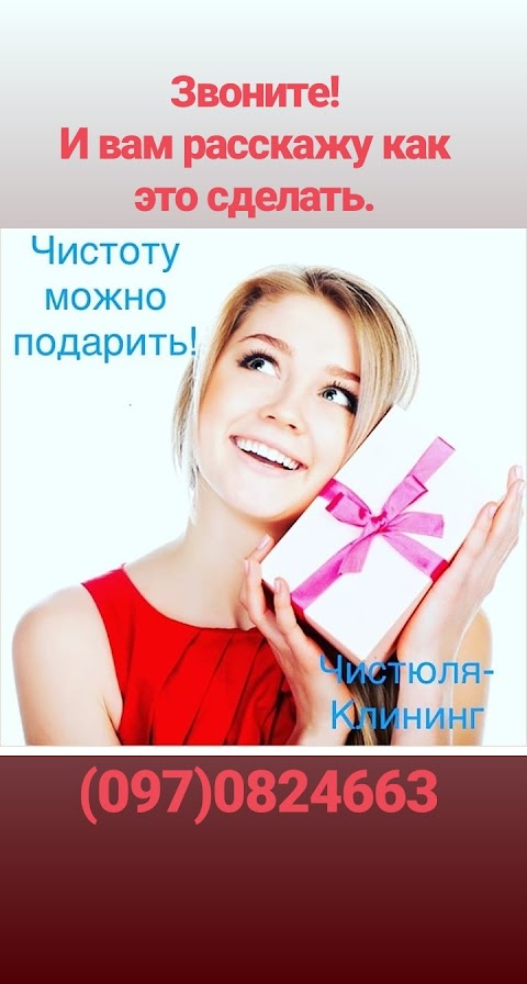 Клининг Чистюля