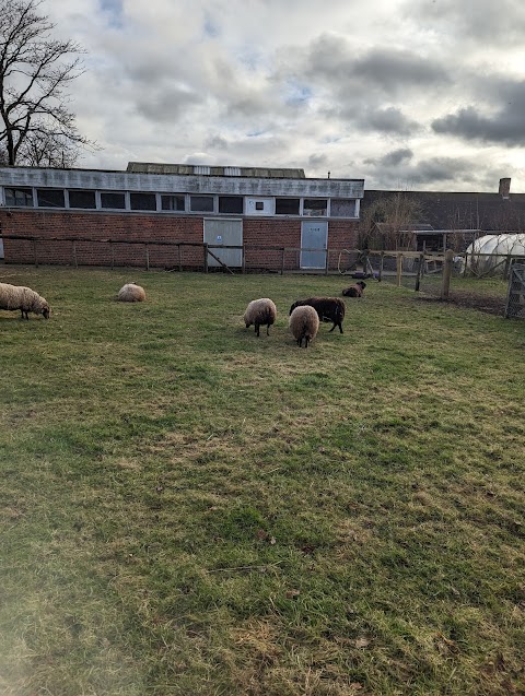 Southampton City Farm