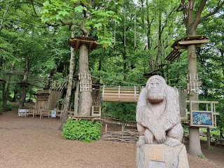 Go Ape Temple Newsam