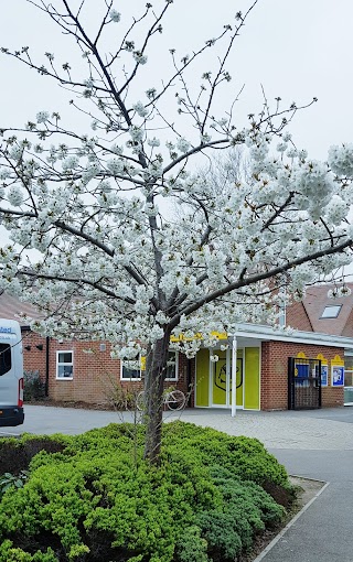 Alfred Sutton Primary School