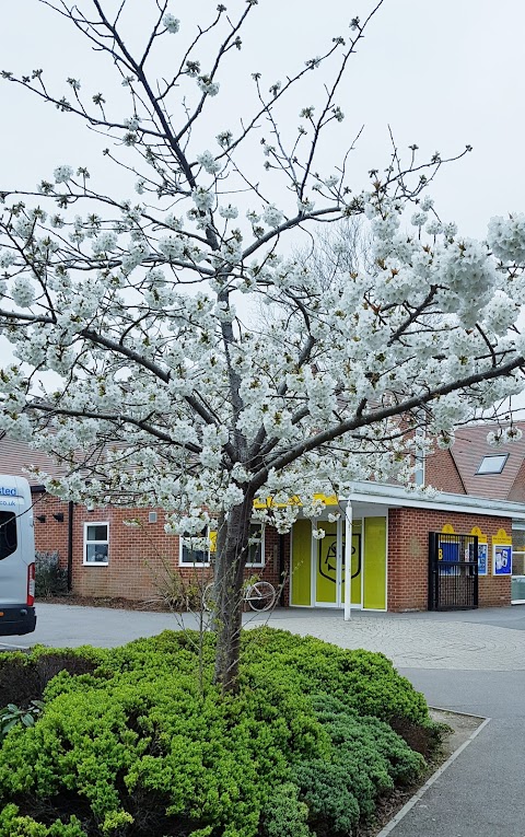 Alfred Sutton Primary School