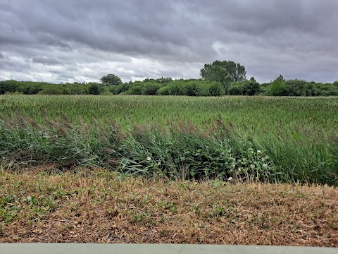 Potteric Carr Nature Reserve