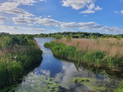 Willington Wetlands Nature Reserve